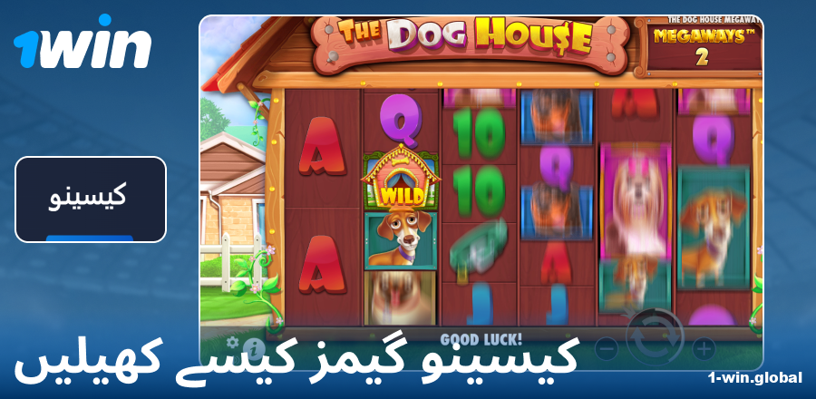 1Win PK کیسینو گیم کھیلنے کی ہدایت